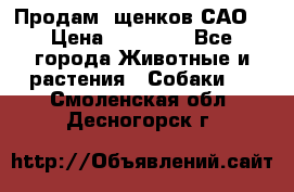 Продам ,щенков САО. › Цена ­ 30 000 - Все города Животные и растения » Собаки   . Смоленская обл.,Десногорск г.